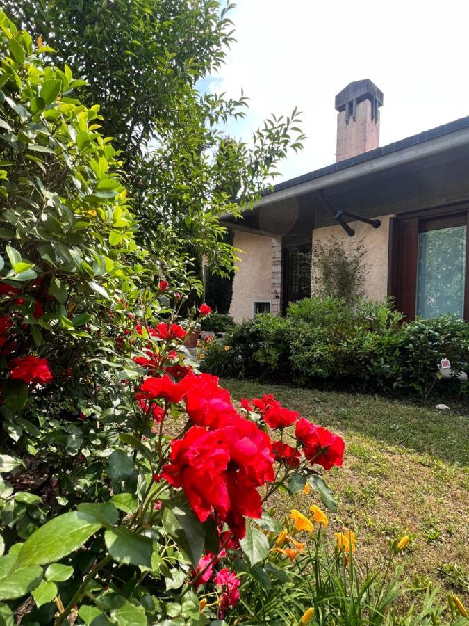 Residenza Borgo San Rocco Bed and Breakfast SantʼAmbrogio di Valpolicella Εξωτερικό φωτογραφία