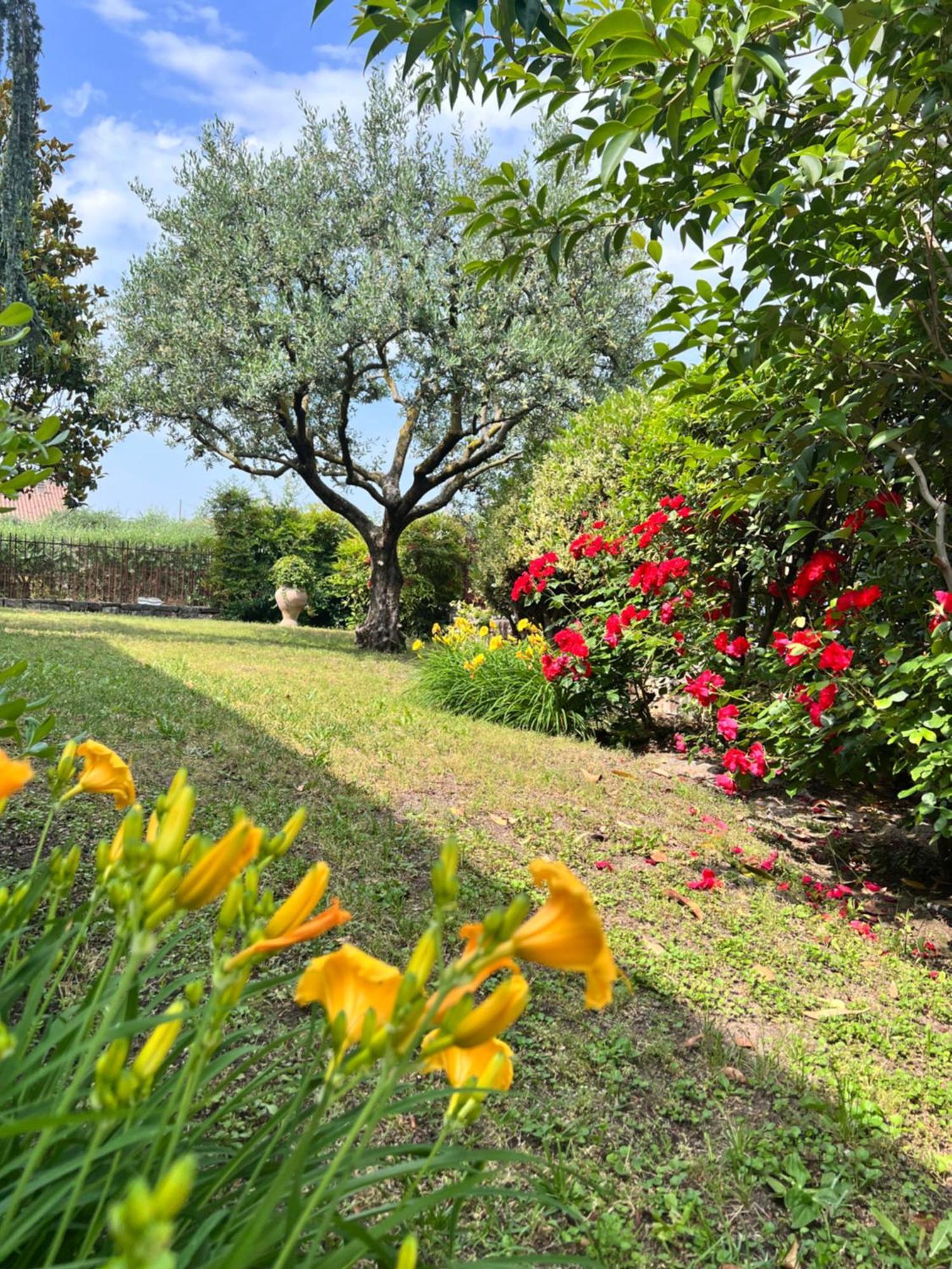 Residenza Borgo San Rocco Bed and Breakfast SantʼAmbrogio di Valpolicella Εξωτερικό φωτογραφία